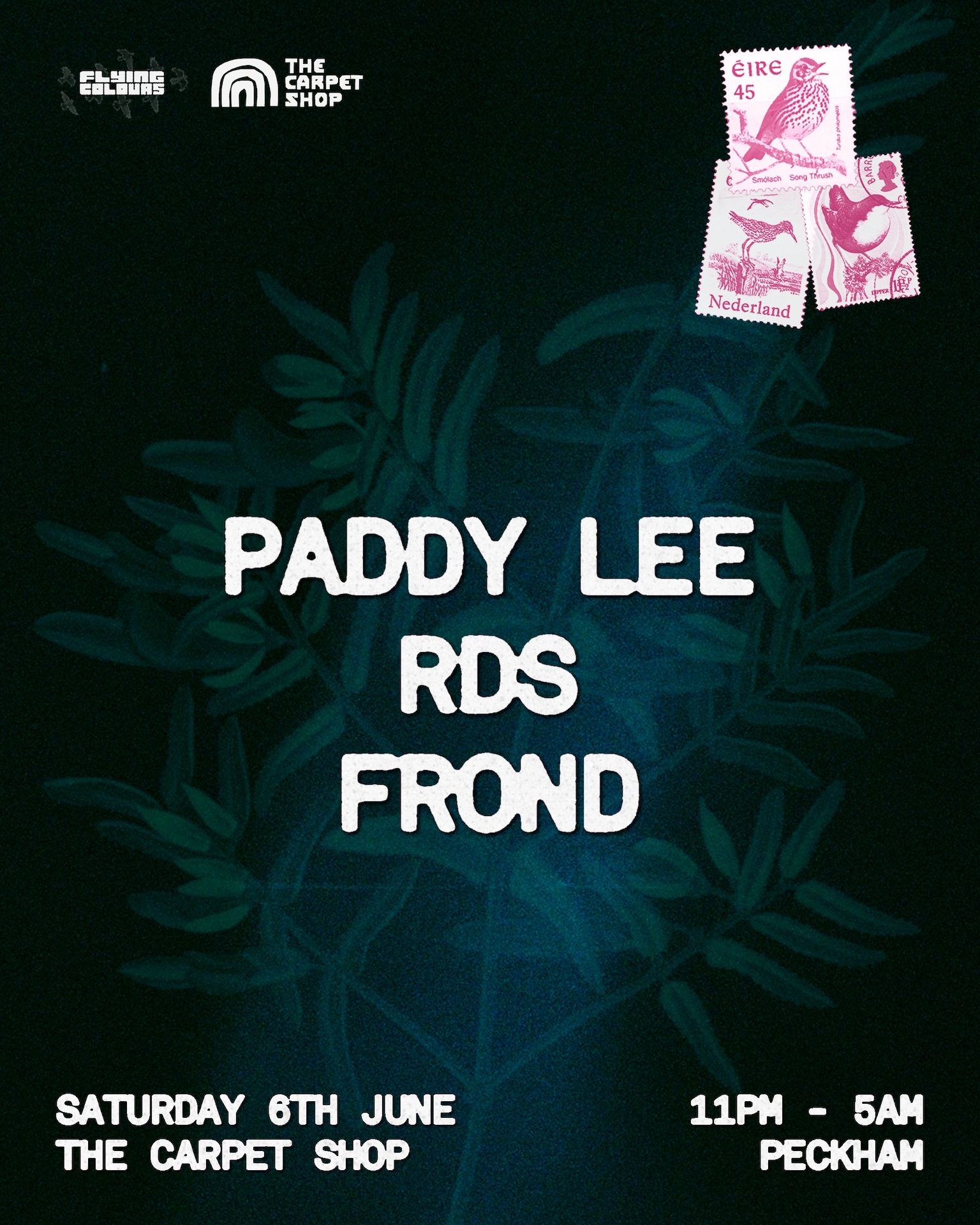 Flying Colours w/ Paddy Lee, RDS & FROND