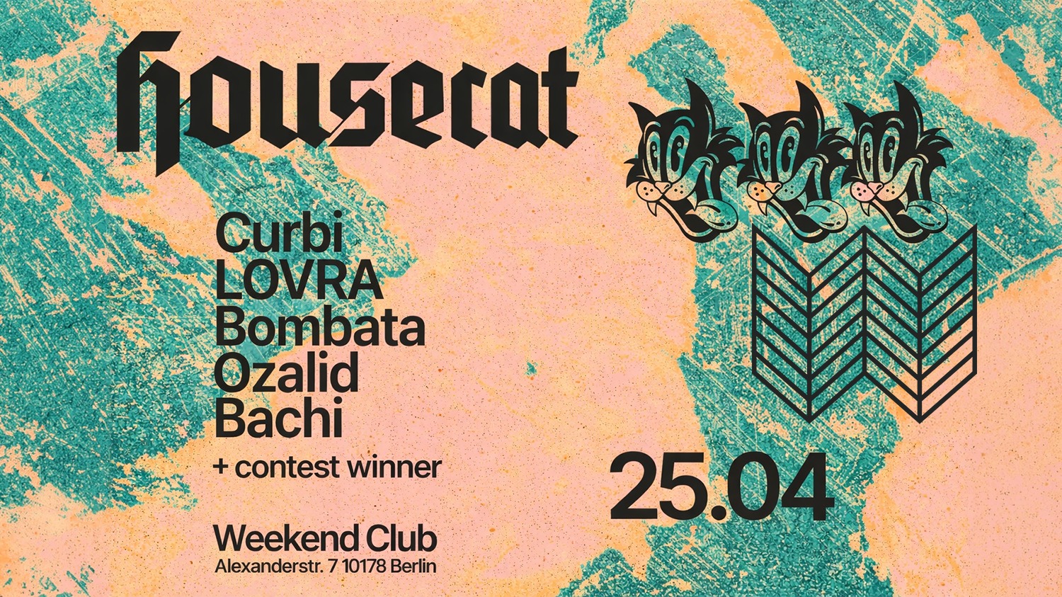 Housecat W/ Curbi, LOVRA & Bombata - Photo 2
