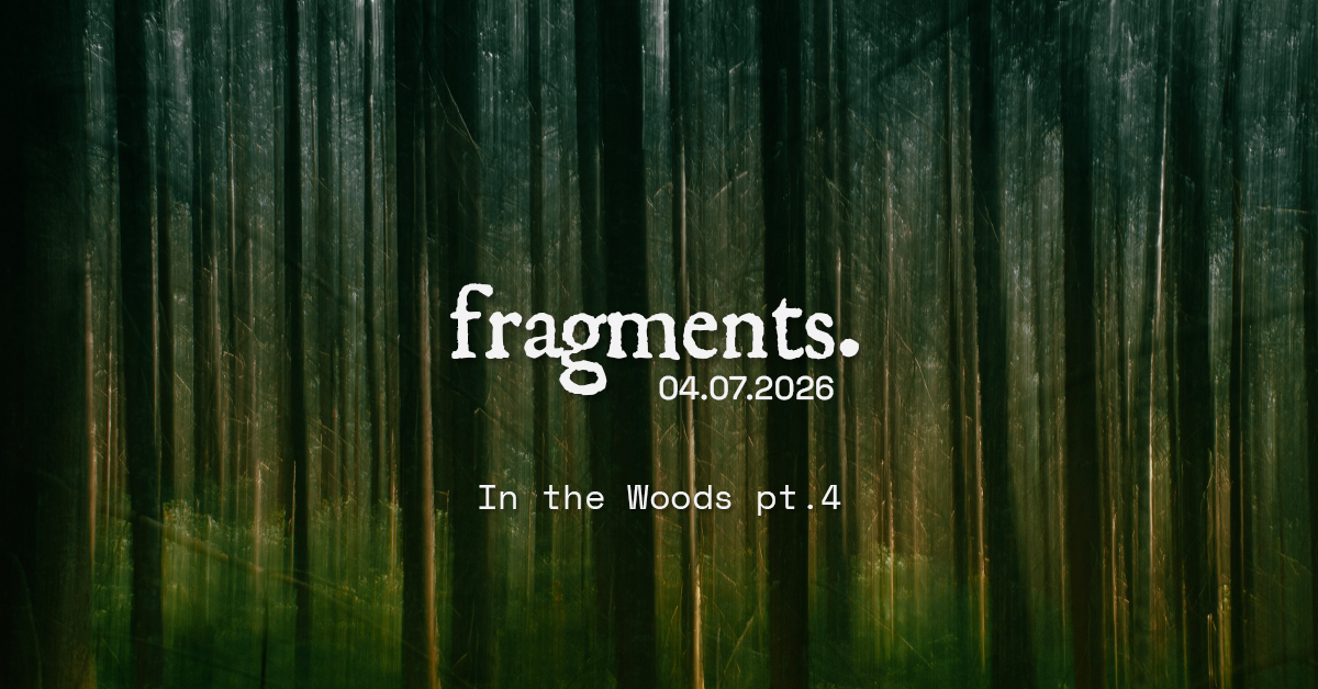 TBA - The forest