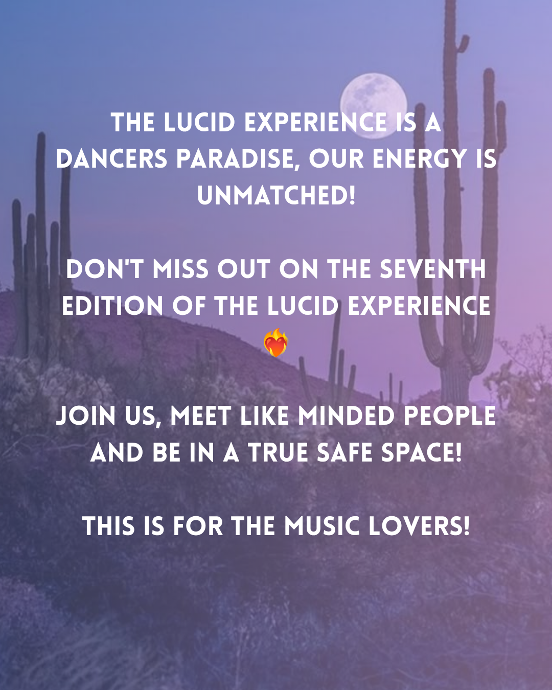 The Lucid 'Summer' Experience