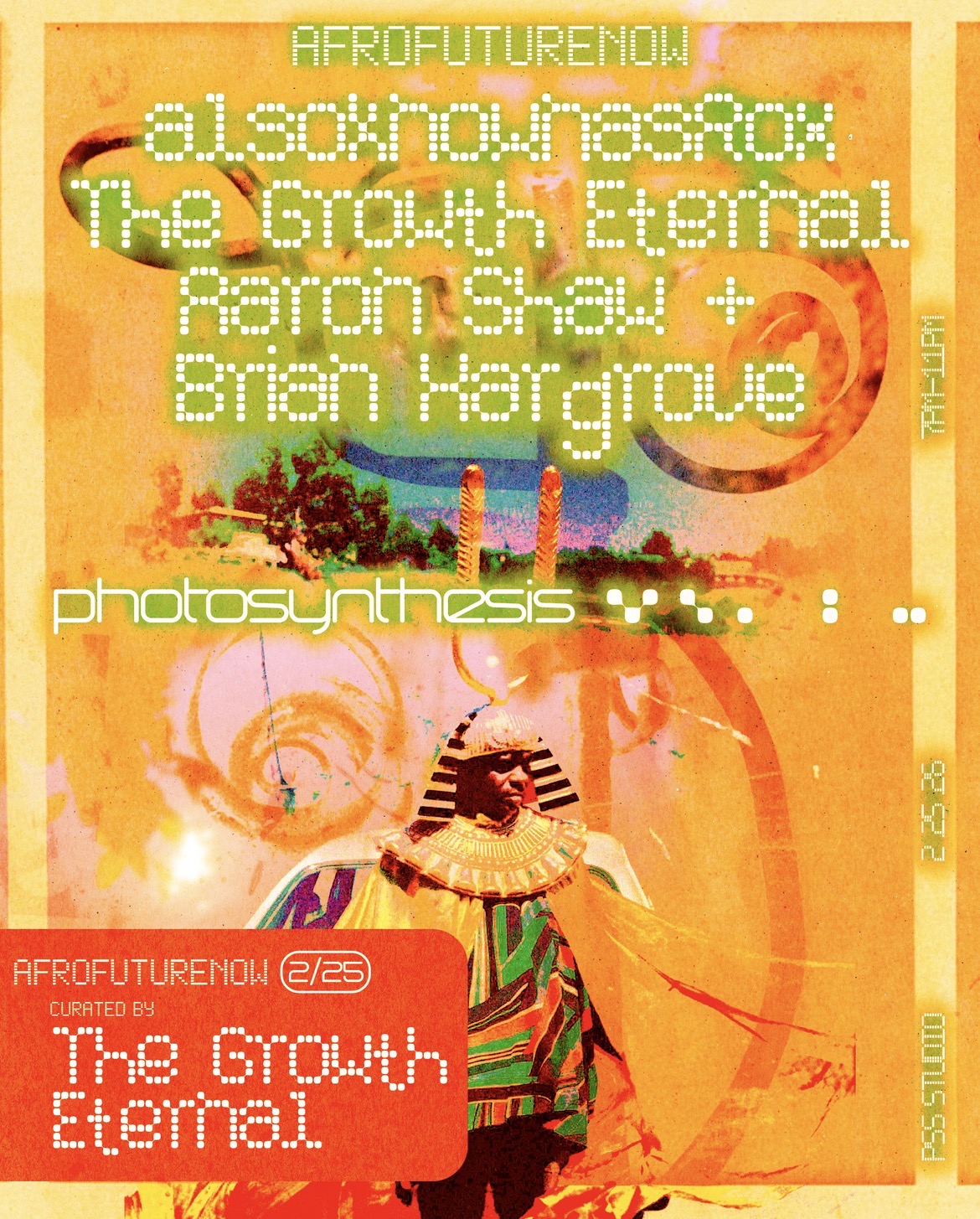 Photosynthesis - AfroFutureNOW