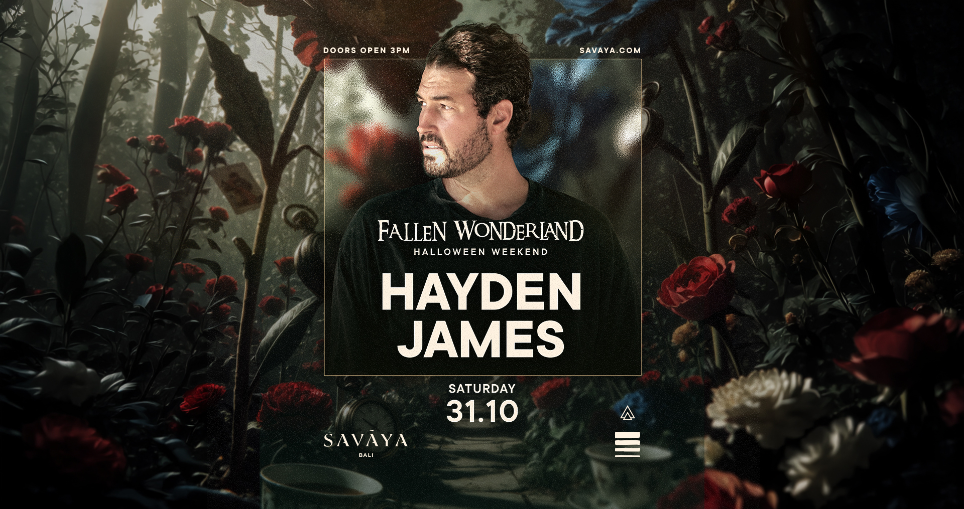 Fallen Wonderland - Hayden James