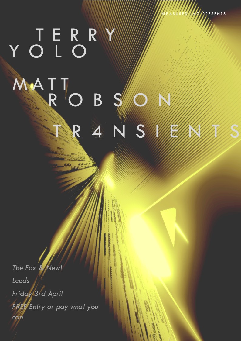 TERRY YOLO MATTROBSON TR4NSIENTS