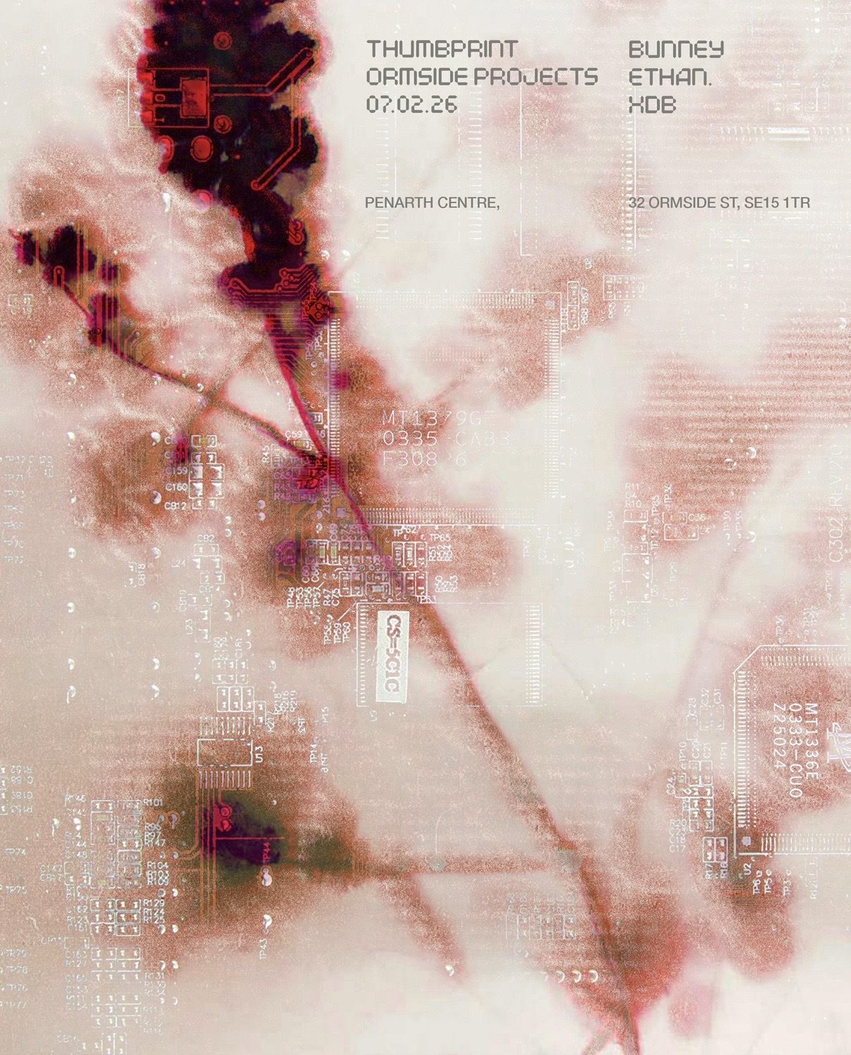 thumbprint with XDB, Bunney & Ethan.