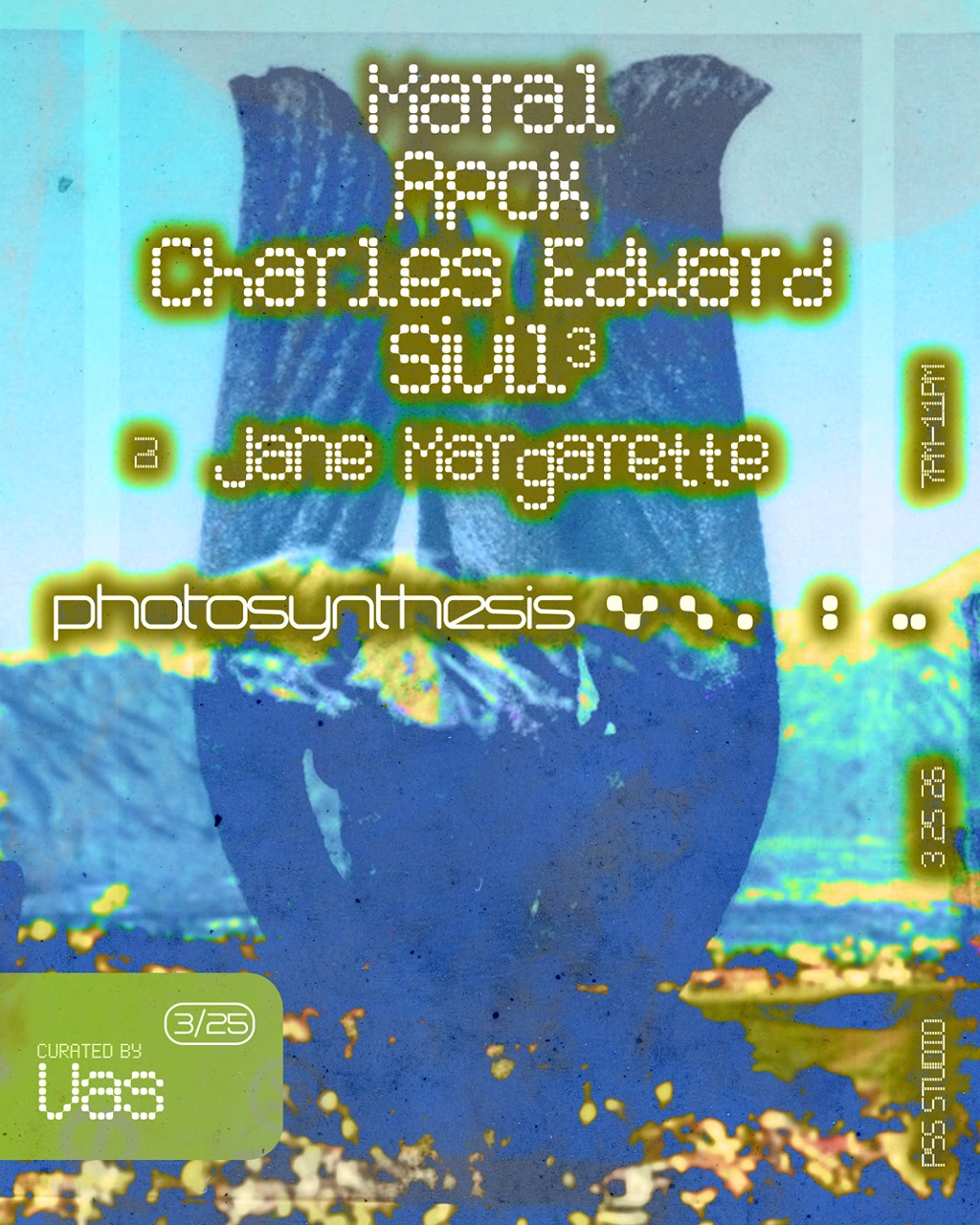 Photosynthesis / Curated by Vas (aka Sivil)