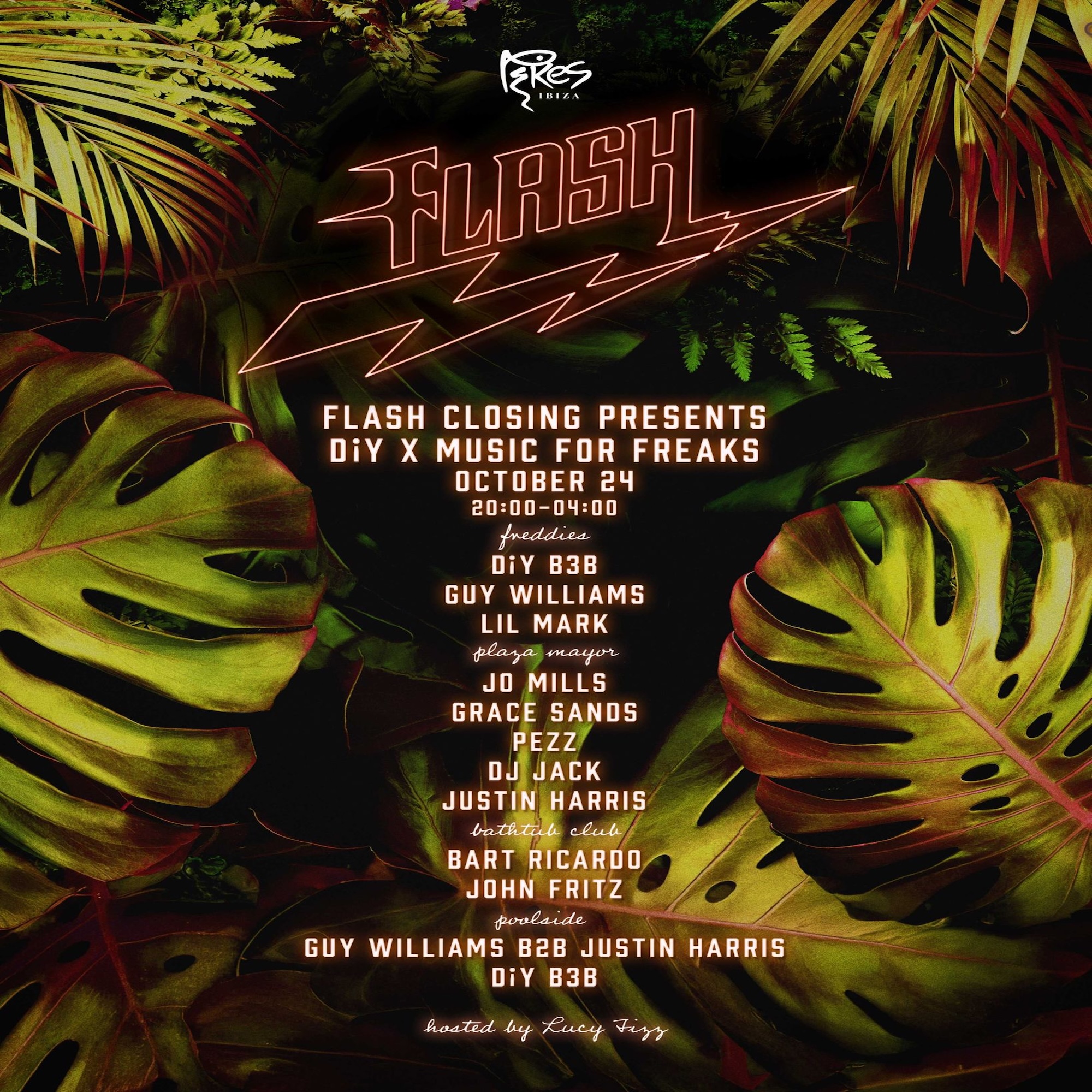 Flash presents DiY x MFF flyer